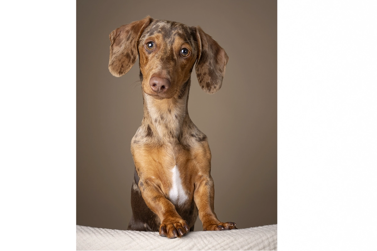 Portrait photography - Ludere Studio